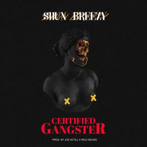 Shun Breezy - Certified Gangster